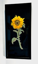 Load image into Gallery viewer, Sunflower, Large
